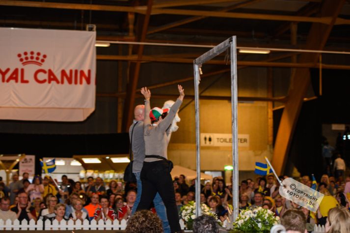 NIKON D600 . 1/125 sec. f/3.5 . 70mm . ISO1250 . ⒸPernille Fjeldgaard - World-Show-Aalborg-2013-34