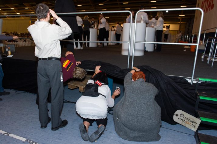 NIKON D700 . 1/100 sec. f/3.5 . 24mm . ISO640 . ⒸPernille Fjeldgaard - World-Show-Aalborg-2013-36