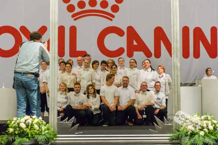 NIKON D700 . 1/125 sec. f/3.2 . 70mm . ISO3200 . ⒸPernille Fjeldgaard - World-Show-Aalborg-2013-37