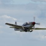 NIKON D600 . 1/400 sec. f/11 . 200mm . ISO250 . - sindal-13