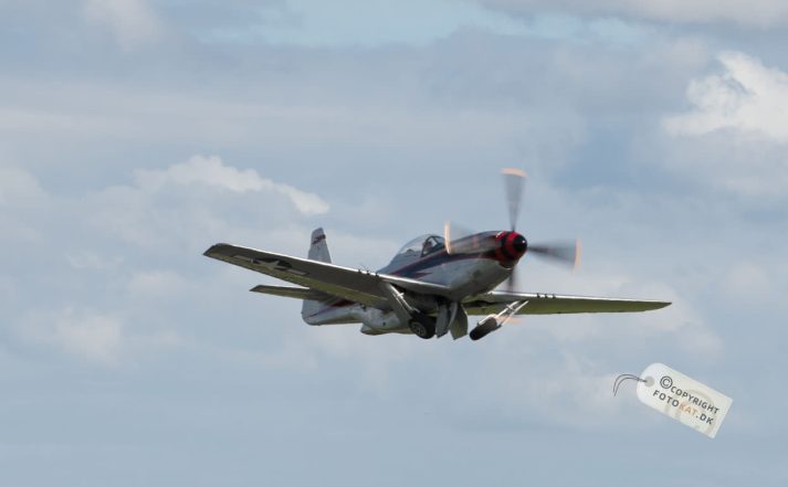 NIKON D600 . 1/400 sec. f/11 . 200mm . ISO250 . - sindal-13